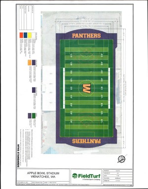 A schematic design for the Apple Bowl FieldTurf. The centerfield logo is still being decided. 