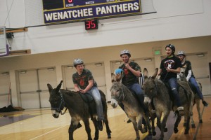 Wenatchee High School FFA and FBLA members ride donkeys during the basketball game. The two clubs organized the 12th annual event.