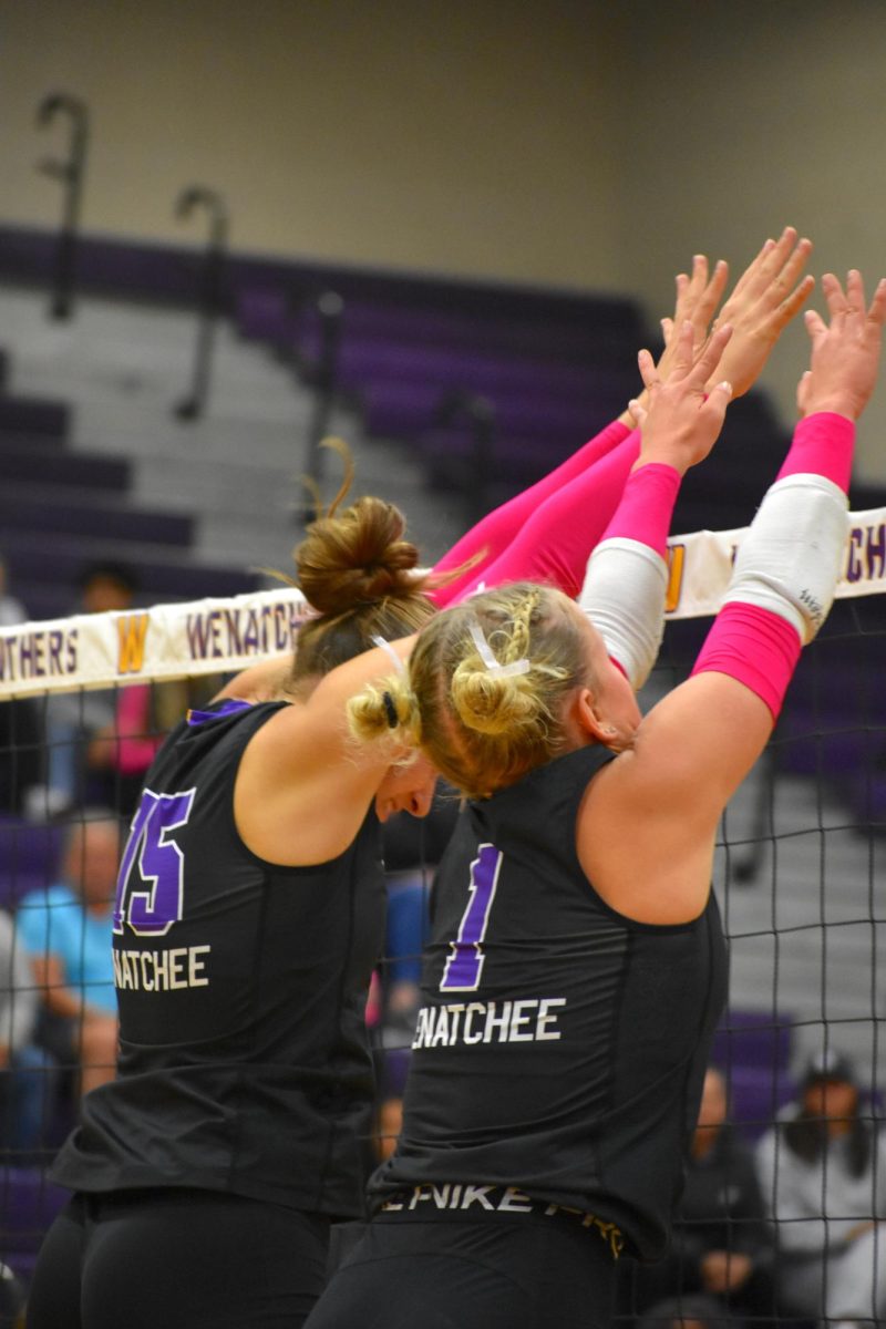 Volleyball Pink Out Game