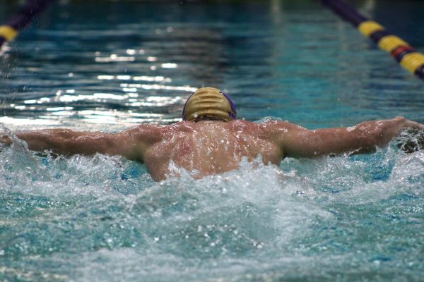 Battle of the Bridges Swim