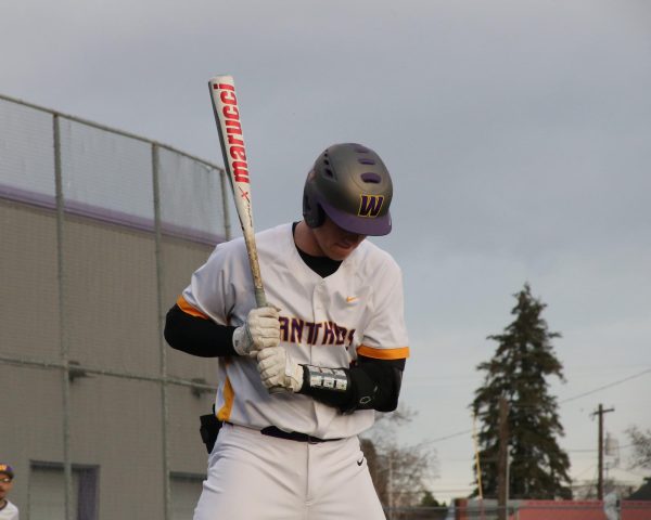 Baseball Battle of the Bridges
